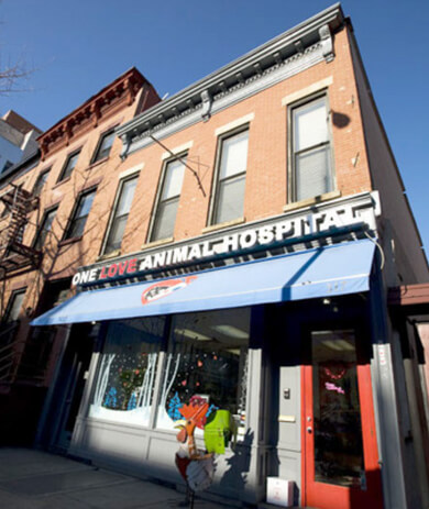 One Love Animal Hospital